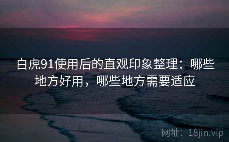 白虎91使用后的直观印象整理:哪些地方好用,哪些地方需要适应 白虎91使用后的直观印象整理:哪些地方好用,哪些地方需要适应