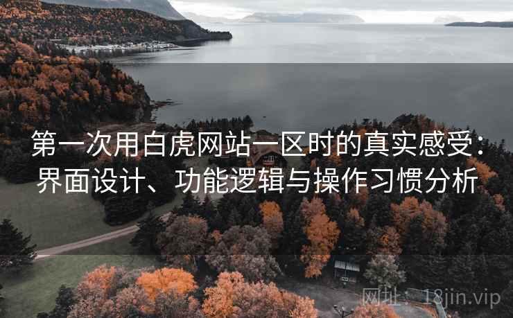第一次用白虎网站一区时的真实感受：界面设计、功能逻辑与操作习惯分析