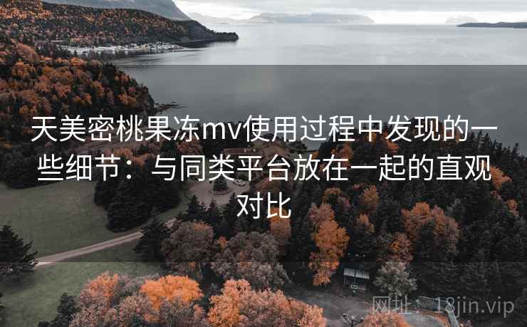 天美密桃果冻mv使用过程中发现的一些细节：与同类平台放在一起的直观对比