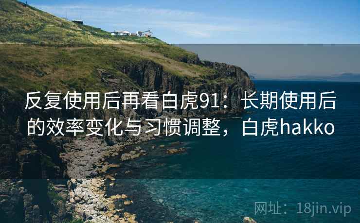 反复使用后再看白虎91：长期使用后的效率变化与习惯调整，白虎hakko
