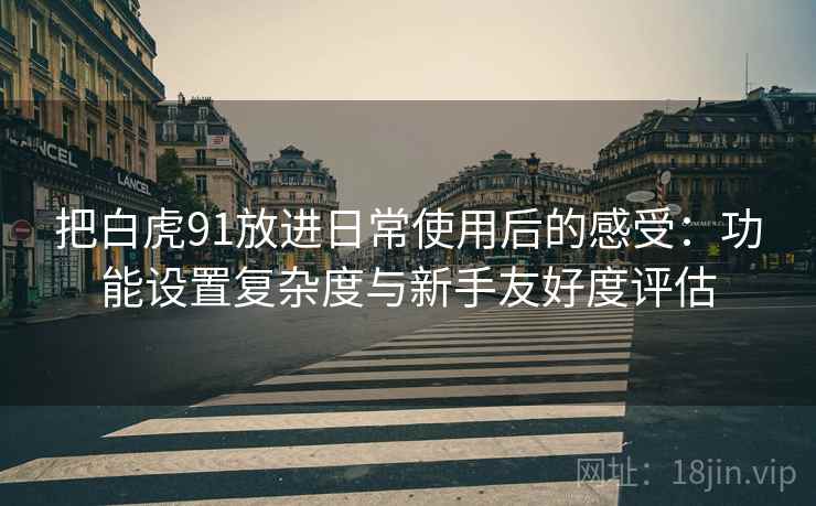 把白虎91放进日常使用后的感受:功能设置复杂度与新手友好度评估 把白虎91放进日常使用后的感受:功能设置复杂度与新手友好度评估