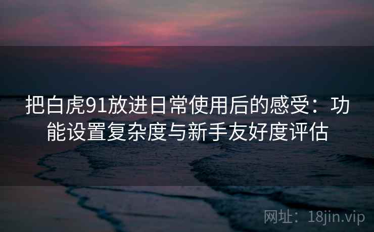把白虎91放进日常使用后的感受：功能设置复杂度与新手友好度评估