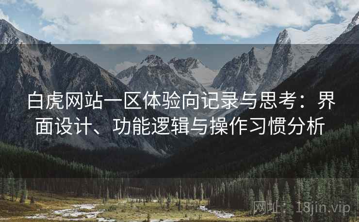白虎网站一区体验向记录与思考：界面设计、功能逻辑与操作习惯分析