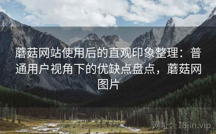 蘑菇网站使用后的直观印象整理：普通用户视角下的优缺点盘点，蘑菇网图片