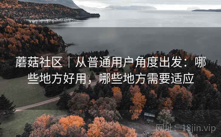 蘑菇社区|从普通用户角度出发:哪些地方好用,哪些地方需要适应 蘑菇社区|从普通用户角度出发:哪些地方好用,哪些地方需要适应