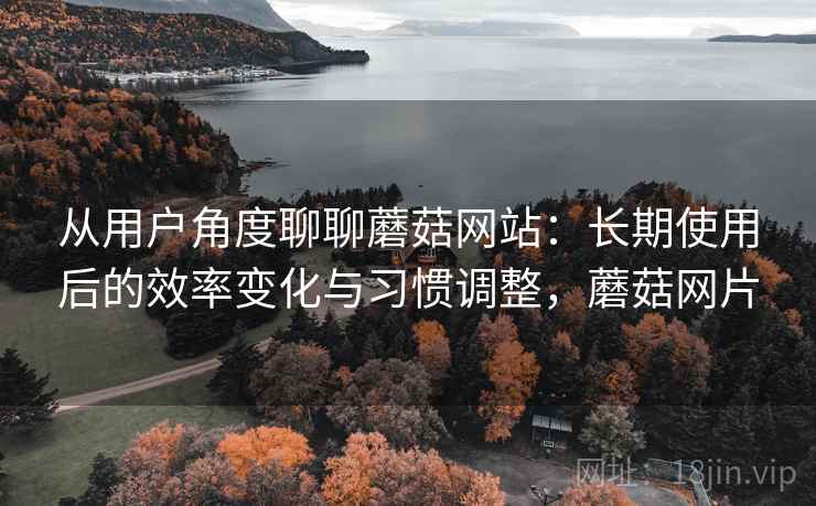 从用户角度聊聊蘑菇网站：长期使用后的效率变化与习惯调整，蘑菇网片