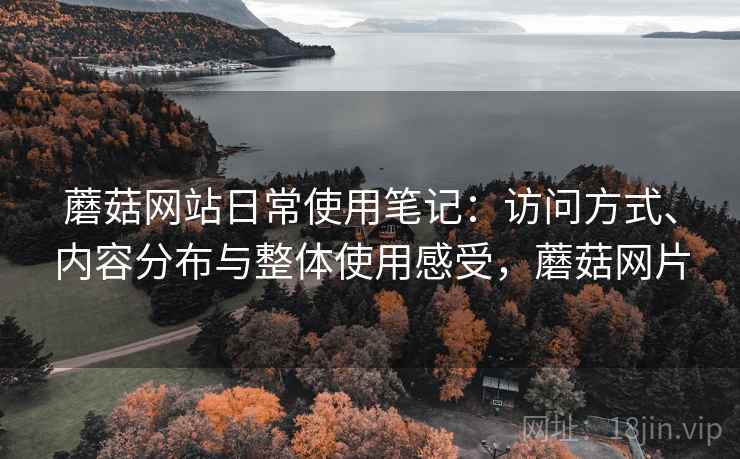 蘑菇网站日常使用笔记：访问方式、内容分布与整体使用感受，蘑菇网片
