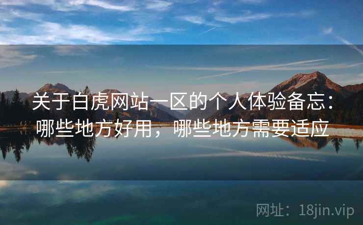 关于白虎网站一区的个人体验备忘：哪些地方好用，哪些地方需要适应